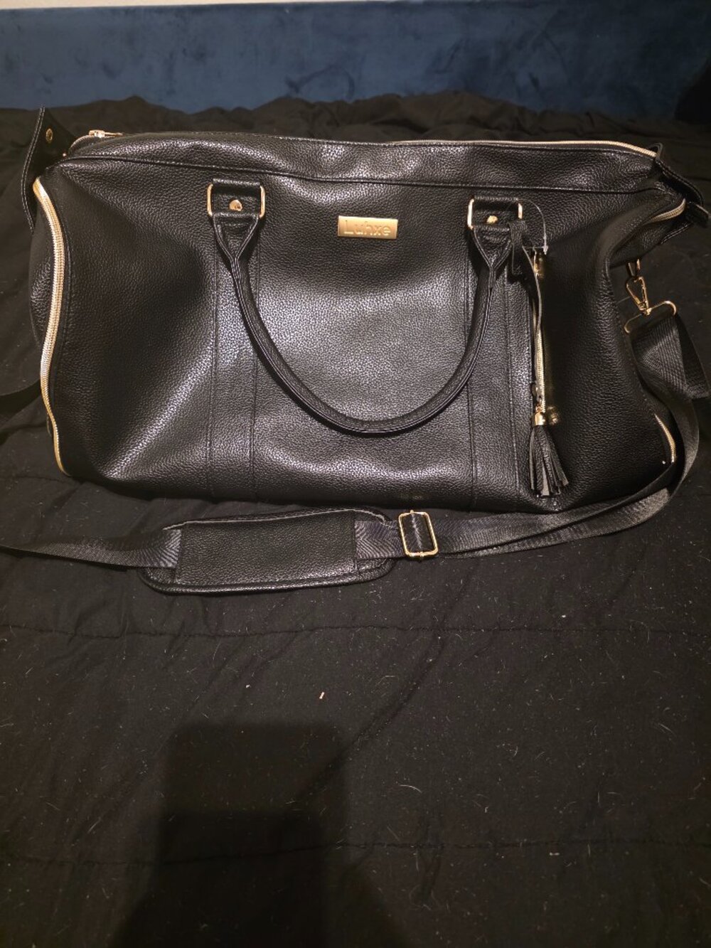 Luhxe Brand Garment/Travel bag